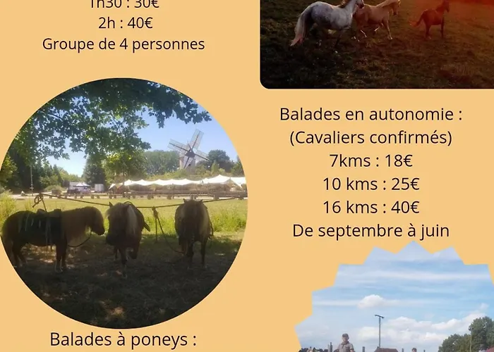 Daire Martine Rouffignac Saint-Cernin